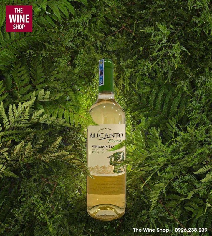 Alicanto Tradicion Sauvignon Blanc là dòng rượu vang trắng của Chile