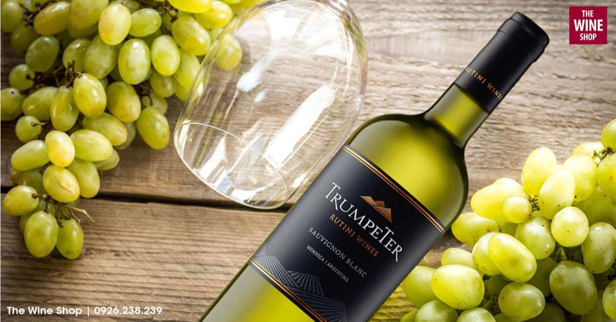 Rượu vang Trumpeter Sauvignon Blanc có nguồn gốc xuất xứ từ Argentina