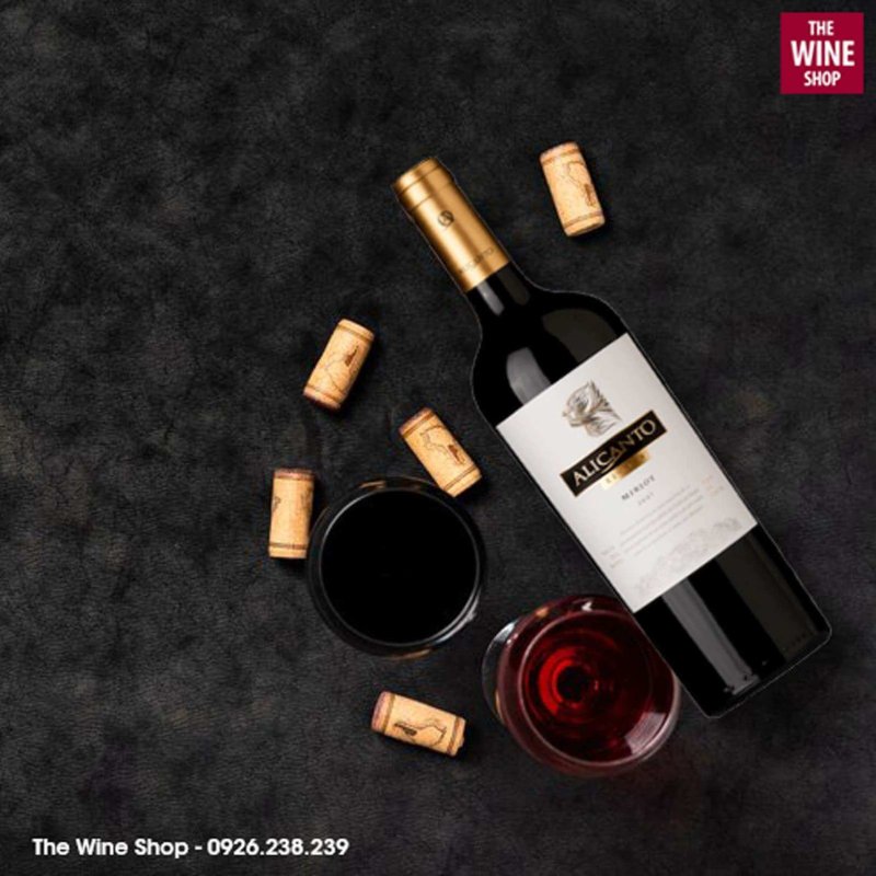 Đặt mua rượu vang Alicanto Reserva Merlot chính hãng tại The Wine Shop
