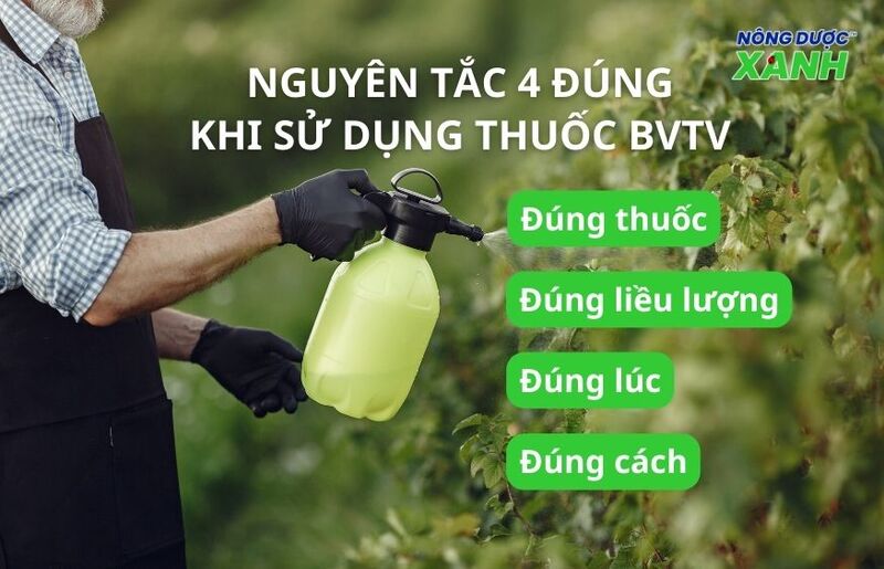 nguyen-tac-4-dung-khi-dung-thuoc-bvtv.jpg