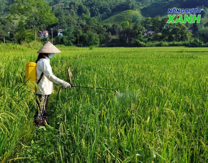 cach-su-dung-thuoc-tru-sau.png