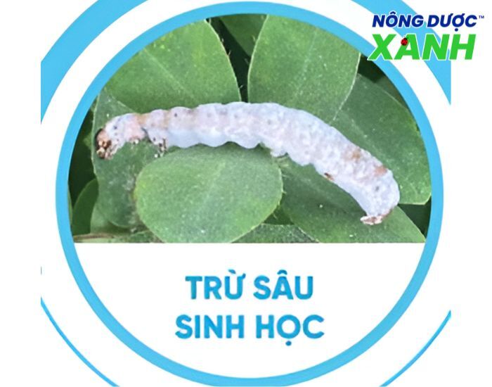 co-che-tac-dung-thuoc-tru-sau-sinh-hoc.jpg