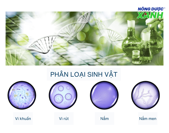 thanh-phan-che-pham-sinh-hoc.png