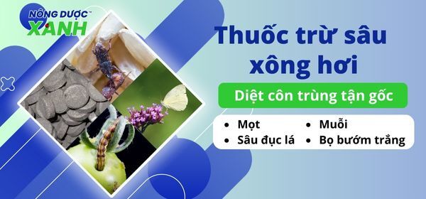 Thuốc trừ sâu xông hơi – Diệt trừ côn trùng tận gốc